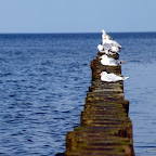 20100822_022_small.JPG