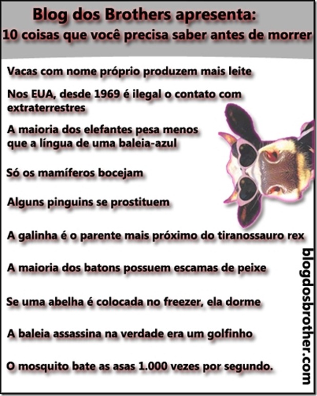 10-coisas-que-voce-precisa-saber-antes-de-morrer1317222048