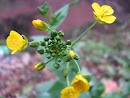 IMG_0785.jpg