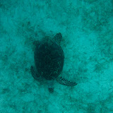 IMG_1579.jpg IMG_1579.jpg