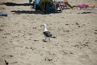 IMG_4703.JPG