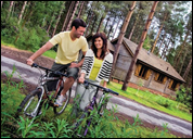 Loads of Fun Exploring the Forests from Your Log Cabin