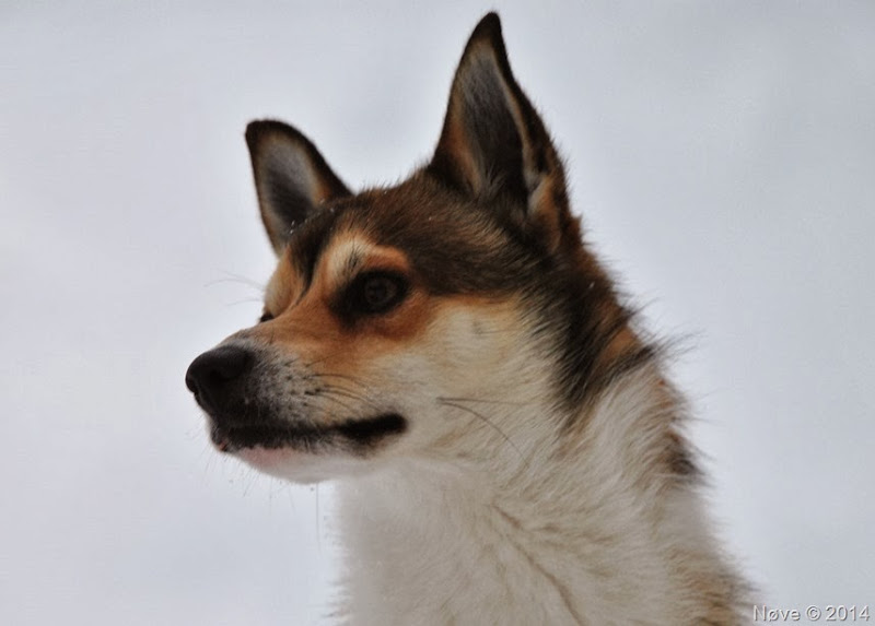 DSC_0726 DSC_0726