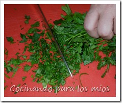 DSCN0716 DSCN0716