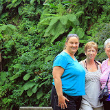 Enjoying The Lush Tropical Forest - Roseau, Dominica