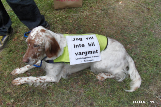Landsbygdens vänner syntes på hela mässan!!! Landsbygdens vänner syntes på hela mässan!!!