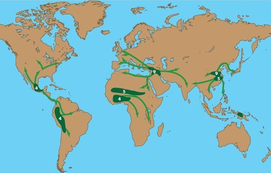 'Earth Transformed': Agriculture's spread worldwide, with the numbers indicating thousands of years since its origin. Graphic: William Ruddiman / W. H. Freeman and Company