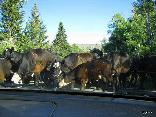 [IMG_2057%255B3%255D.jpg]