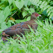 20120429-DSC_0566.jpg