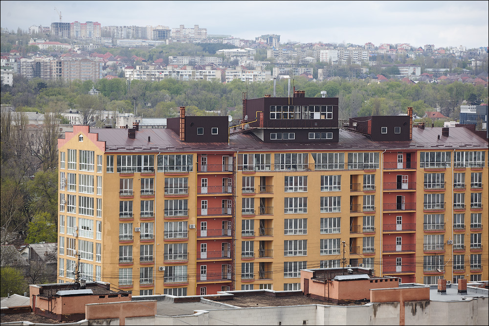 IMG_7778.jpg