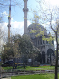 P4233573.JPG