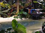 Beach and Lagoon