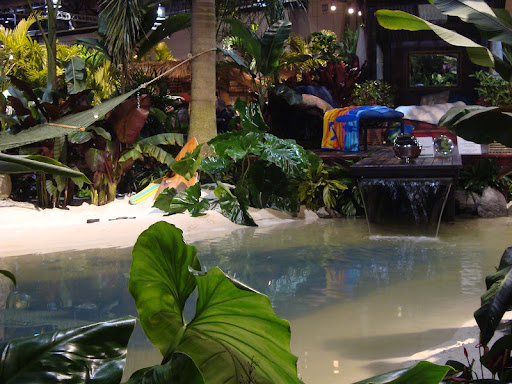Beach and Lagoon