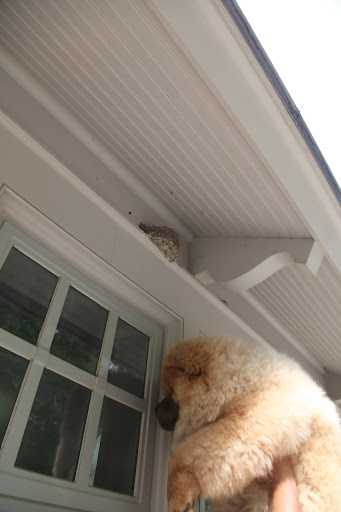 Just a little higher please.