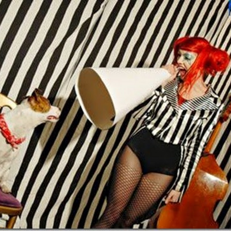 Gabby Young & Other Animals: One Foot in Front of the Other (Albumkritik)