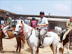 p1248651176(11).jpg