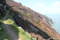 IMG_5999.JPG Photo