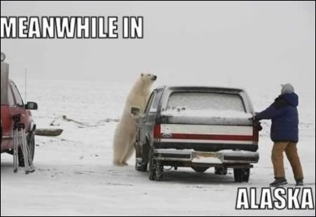Meanwhile-in-alaska