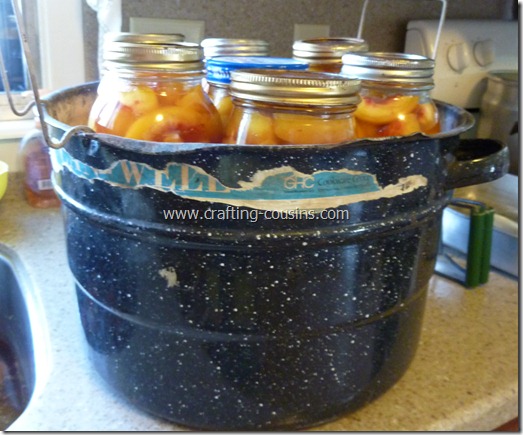Home canned peaches by the Crafty Cousins (34)