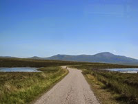 IMG_1596 IMG_1596