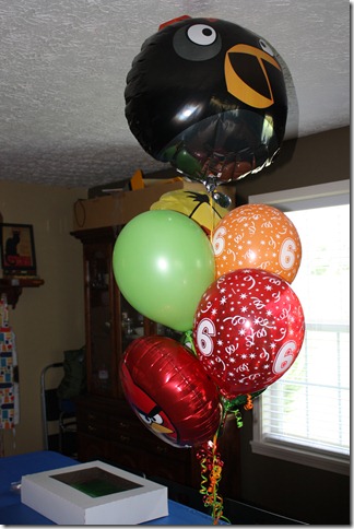 IMG_6241 IMG_6241