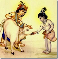 [Krishna and Balarama with cow]