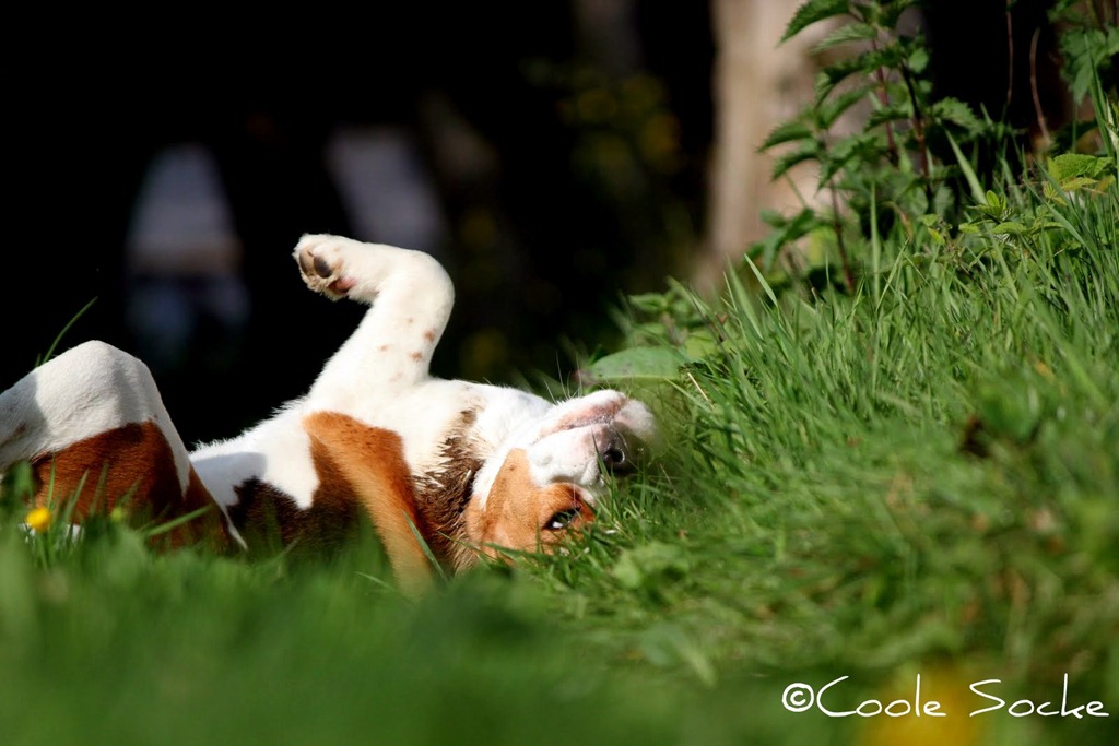 [IMG_1208%255B3%255D.jpg]
