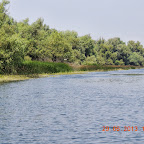 DSCN8186.JPG