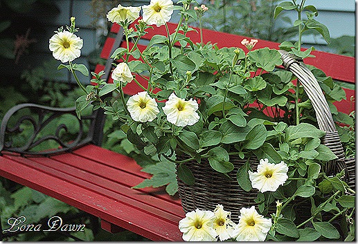 Bench_Basket