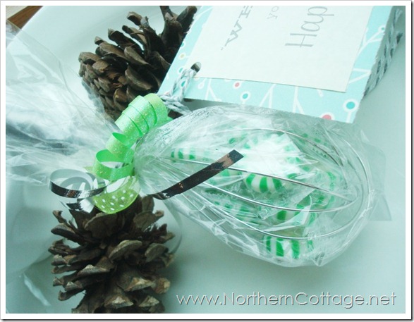 Whisking a happy day @ Northern Cottage.net