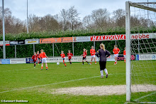 20140315 - WVV D4 - WESTERLEE D1 - 038.jpg