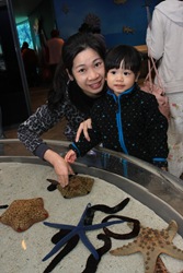 IMG_6518 IMG_6518