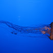 IMG_0398.JPG