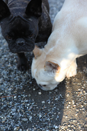 Let me have a closer look, Franny.