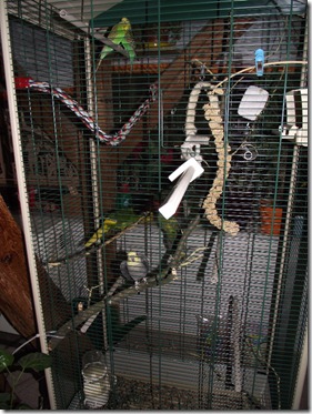 Allg01_12 002