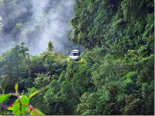North_Yungas_DSC00696 North_Yungas_DSC00696