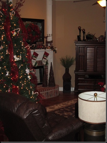 Christmas 2011 156