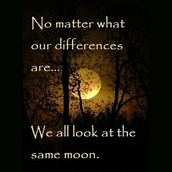 New-Best-Quotes-Images-Reflection-1.png?width=300