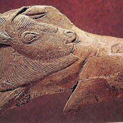 04 - Cabeza bisonte vuelta en propulsor de la Cueva de La Madeleine