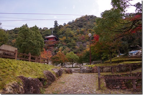 IMGP5557 IMGP5557