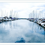 ''Boats at the Pointe'' - copyright Christina Drane