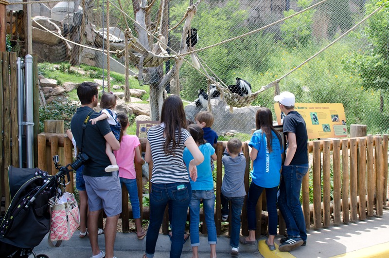 [zoo-22%255B10%255D.jpg]