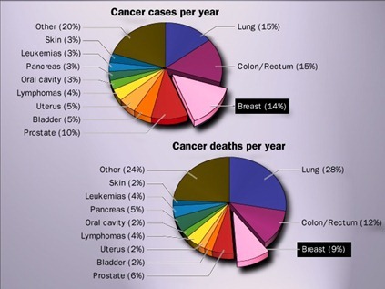 Cancer cases & death per year-breast