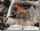 flame spirit4 flame spirit4