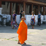 IMG_4393.JPG