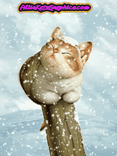 animals20