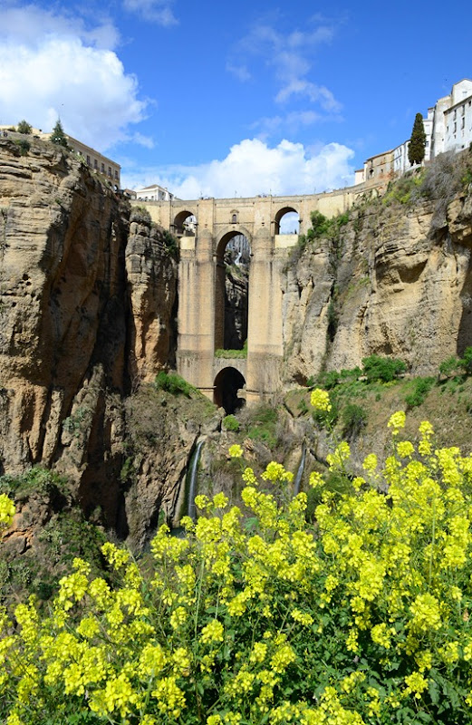 Ronda41