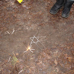 DSC08806.jpg
