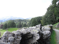 RIMG0116.JPG Photo