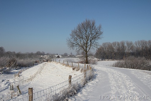 sneeuw Febr 2012 041 sneeuw Febr 2012 041